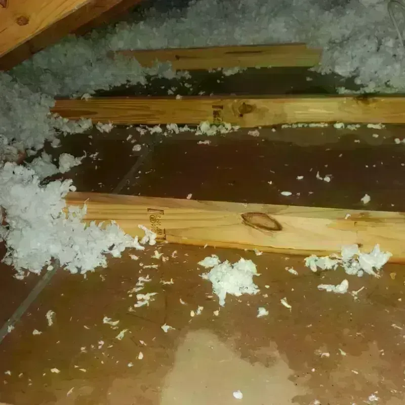 Attic Water Damage in Cactus, TX